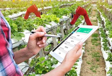 Smart agriculture technology for monitoring plants